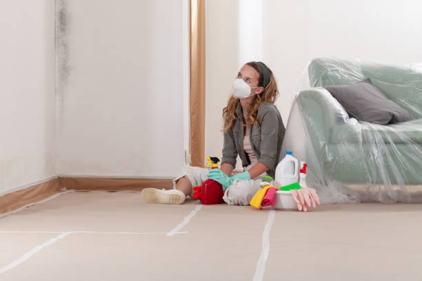 Reliable Black Mold Removal contractor in Palatine, IL by WQB Mold Removal